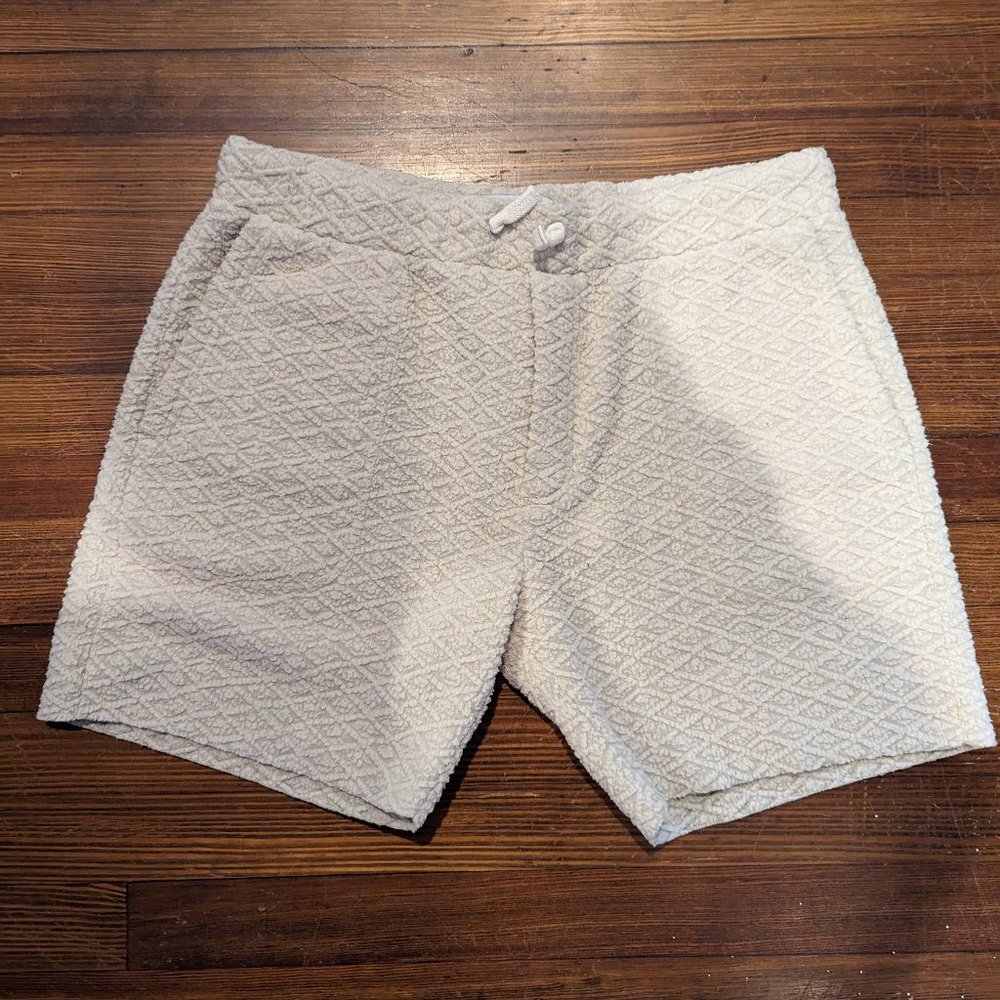 Chubbies Shorts